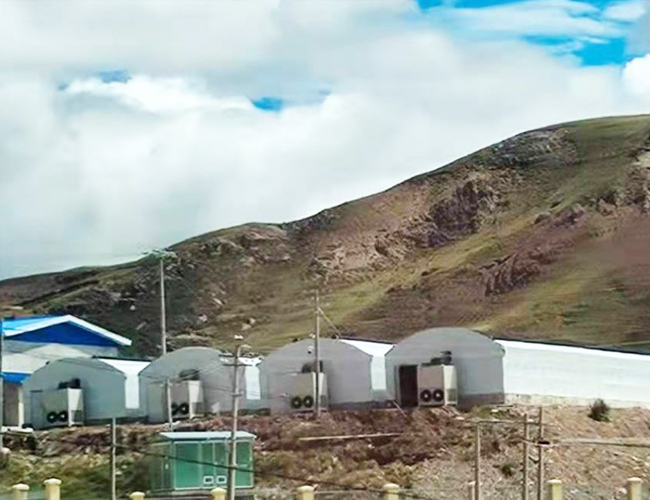 ���ز�����������ֲ����